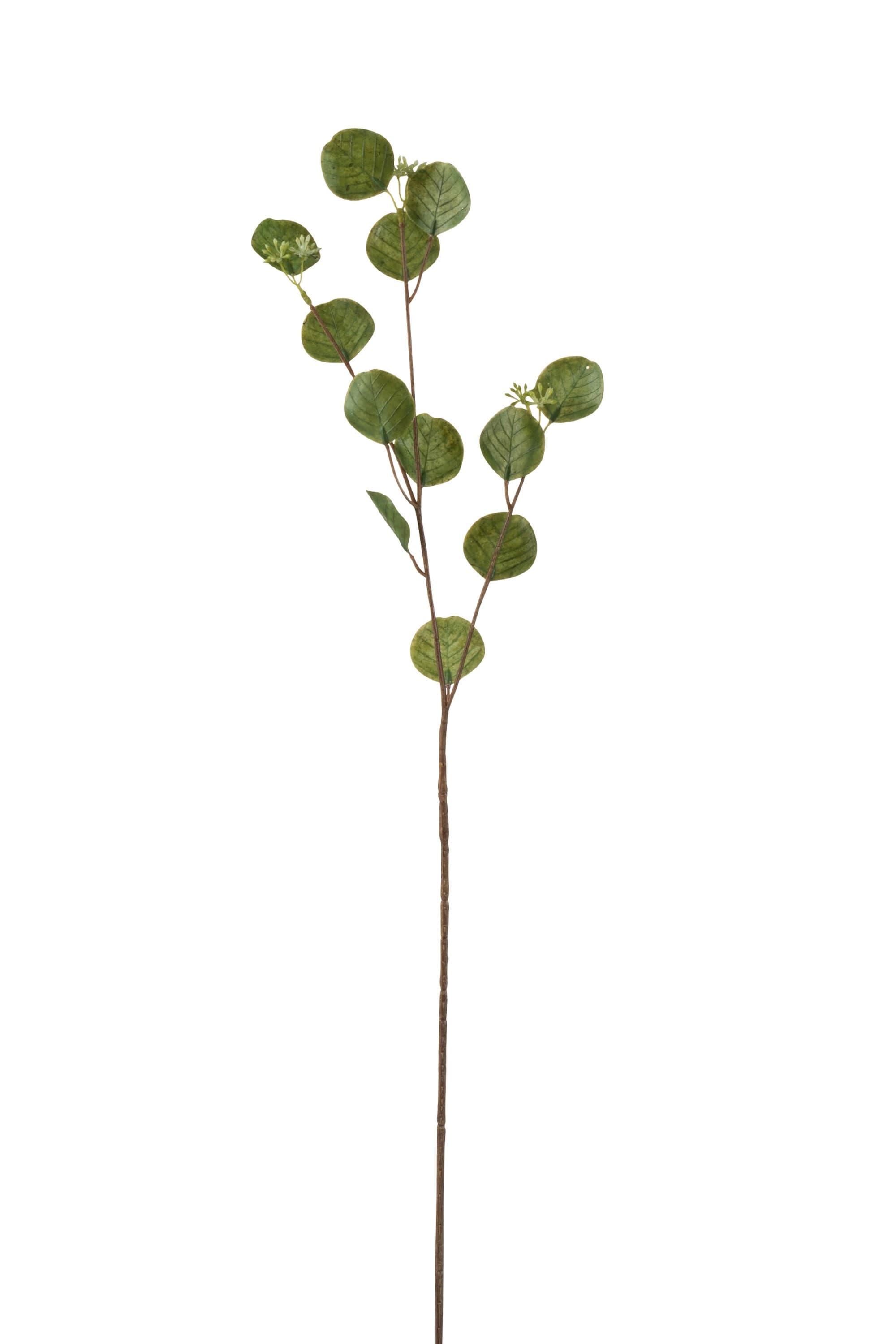 Branch Honesty