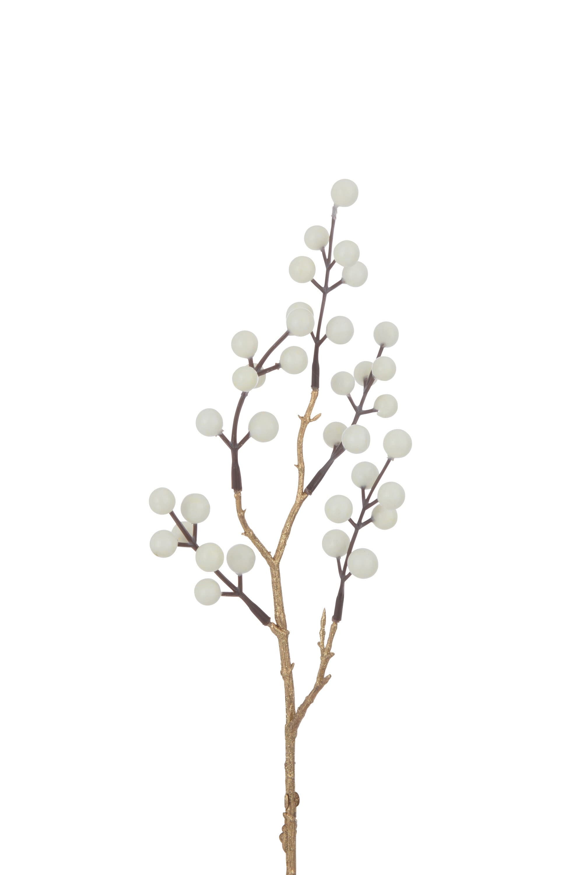 Branch Berries
