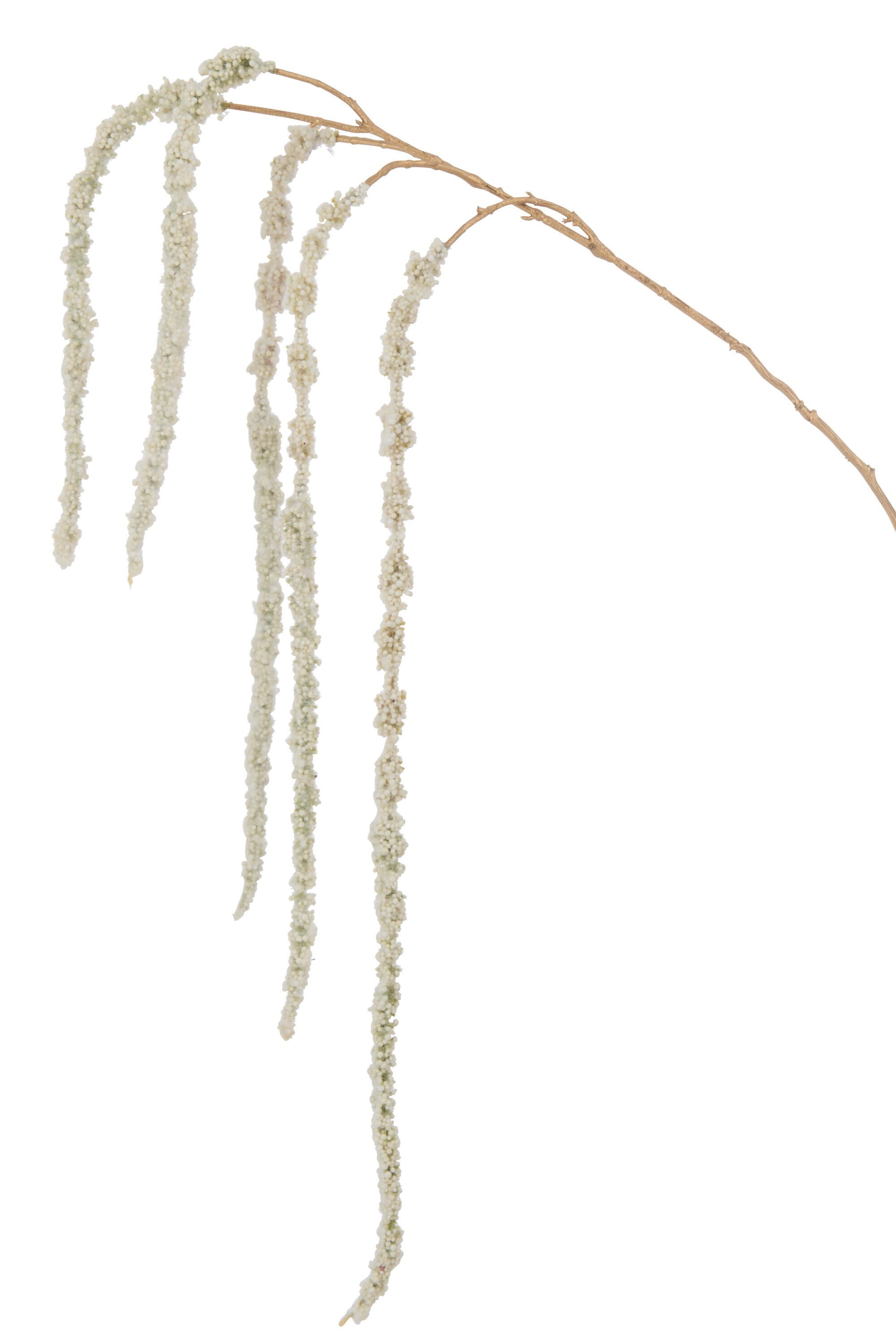 Amaranthus Branch