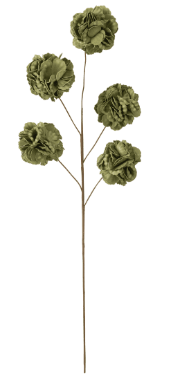 Pomp Green Flower