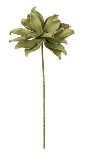 Green Flower