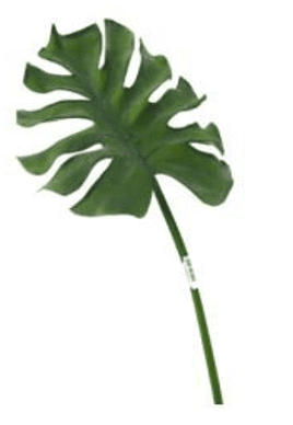 Green leaves