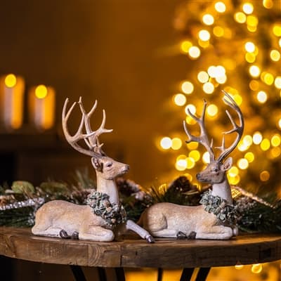 Deer 