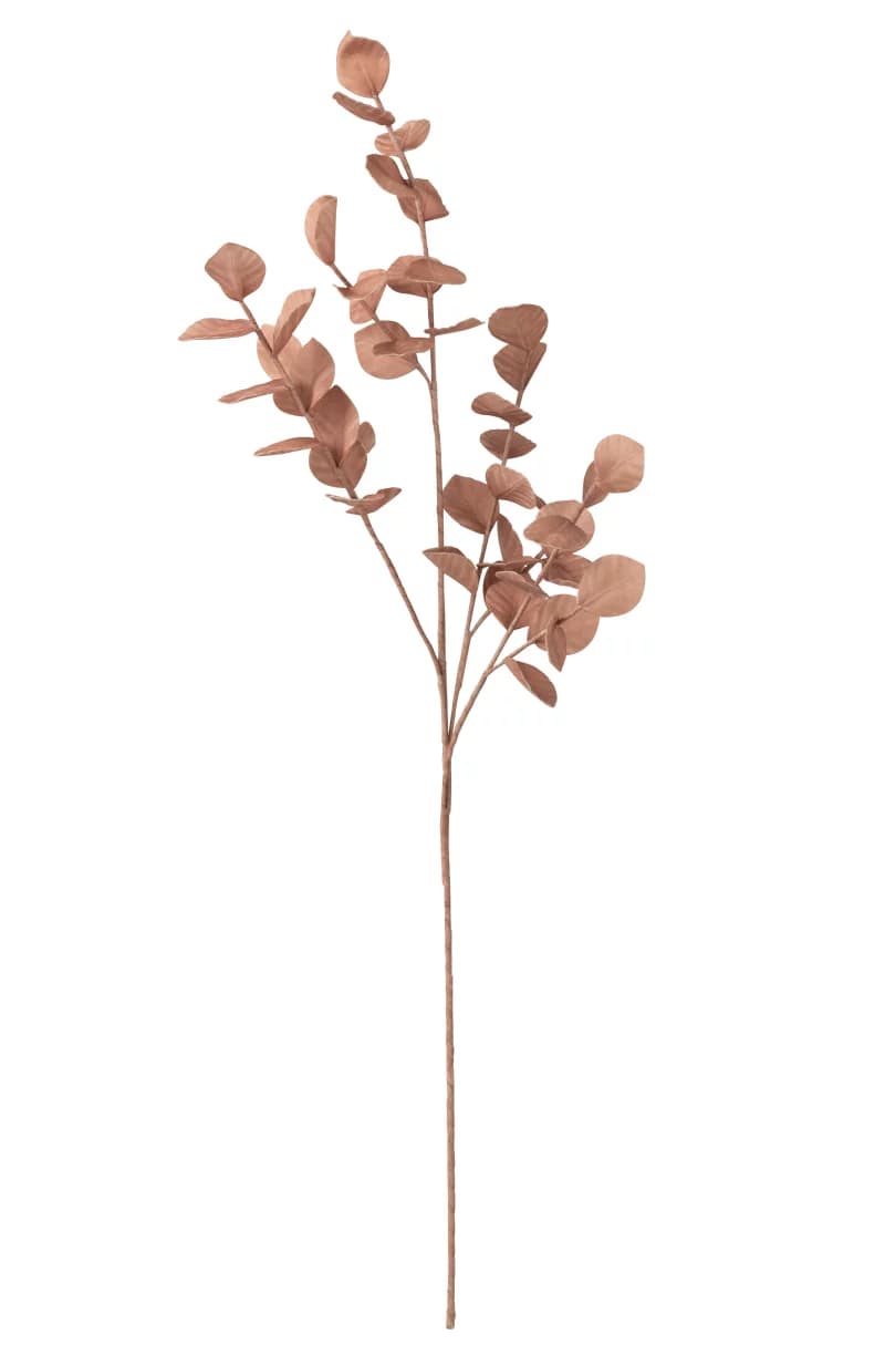 Branch Leaves Eva Nude