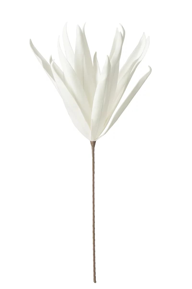 Flower Branch
