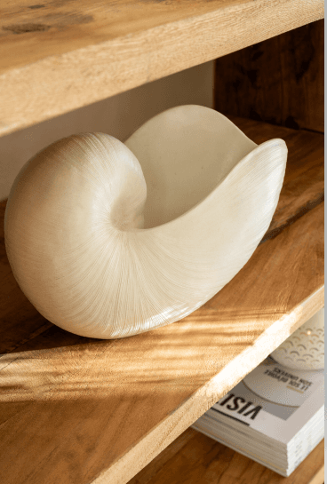 Shell Vase