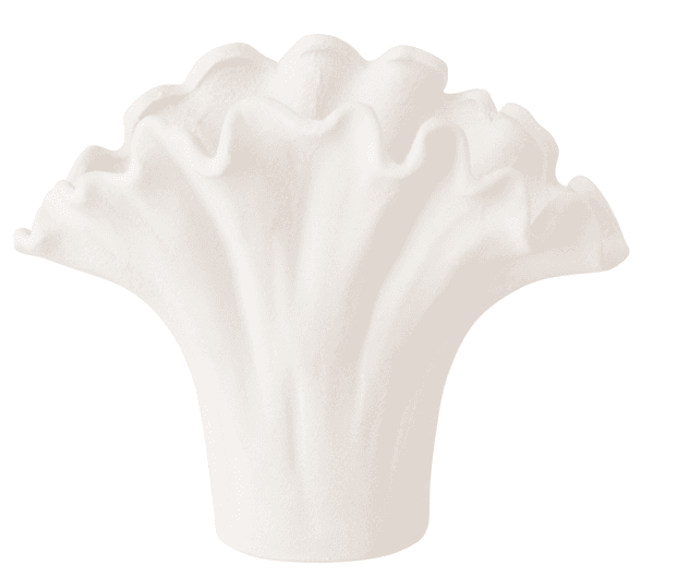 Vase Flower